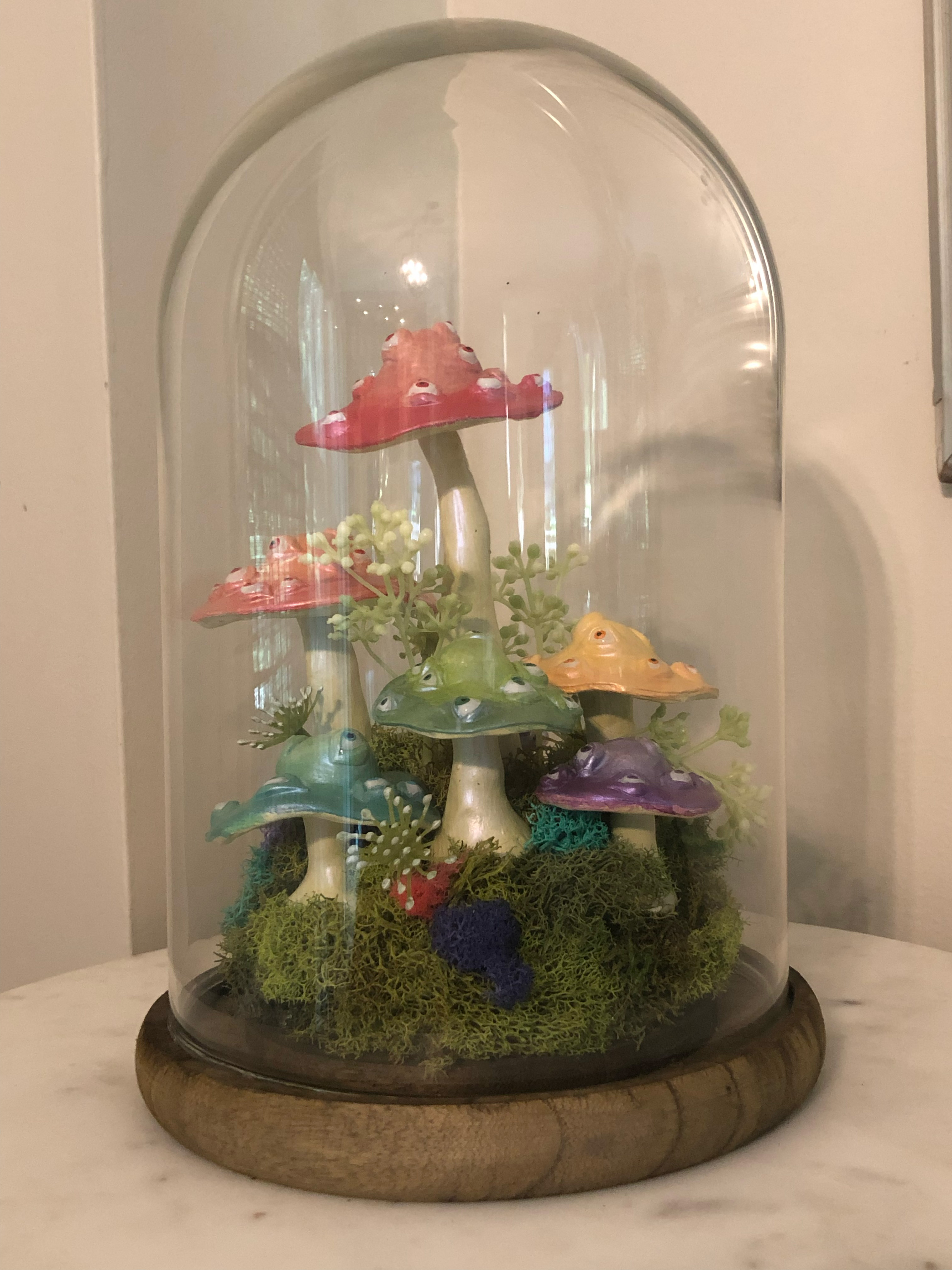 Amanīta Musciris (detail 1)