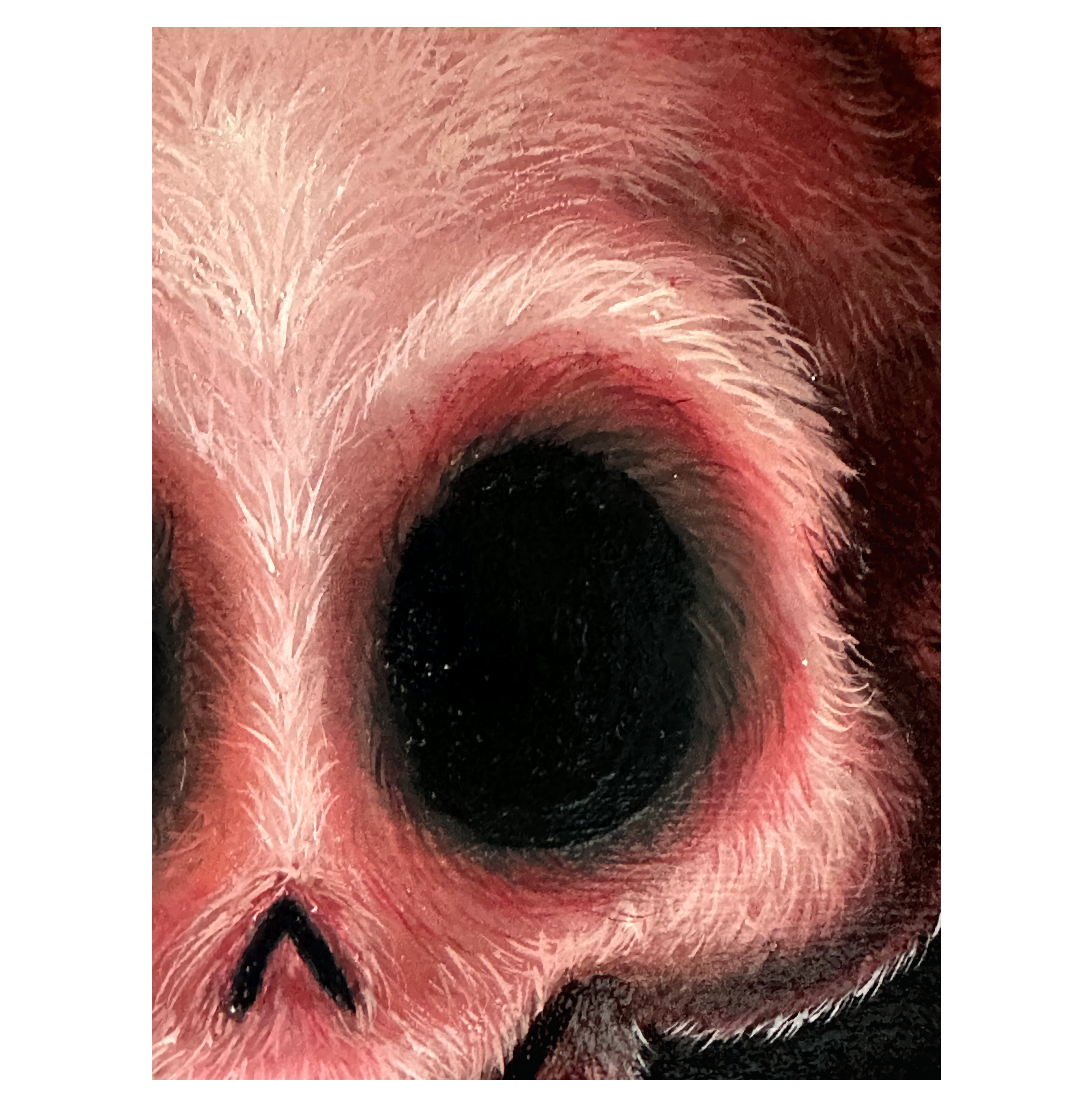 Died Pink (detail 2)